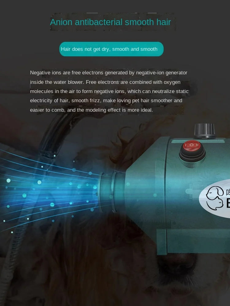 2800W Power Hair Dryer For Dogs Pet Dog Cat Grooming Blower Warm Wind Secador Fast Blow-dryer For Small Medium Large Dog Dryer