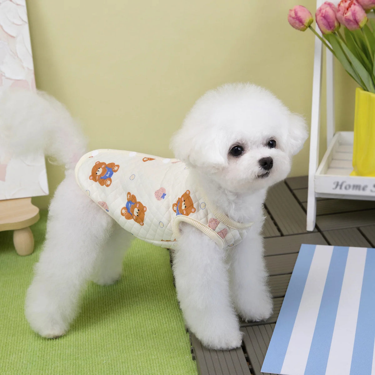 Pet Vest Small Dog Clothes Cat Autumn Winter Bear Pattern Warm Comfortable Baby Cotton Vest Teddy Bechon Small Dog Clothes
