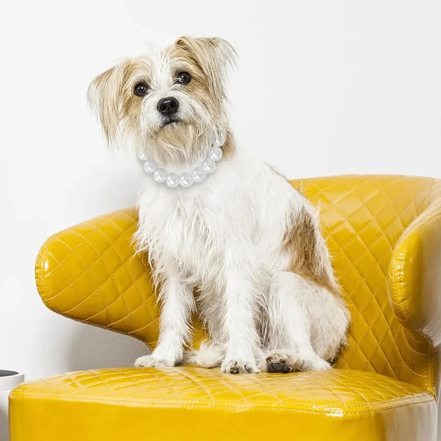 Pearl Dog Collar, Stainless Steel Wire Rope,Pearl Necklace Jewellery Accessories for Medium Large Dogs Occasions and Gatherings