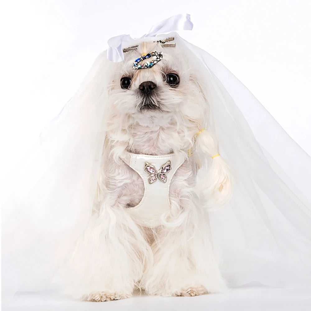 Luxury Dog Harness and Leash Set for Small Dogs, Elegant Mesh Vest Harness with Bow Tie, Perfect for Maltese Chihuahua Puppyl
