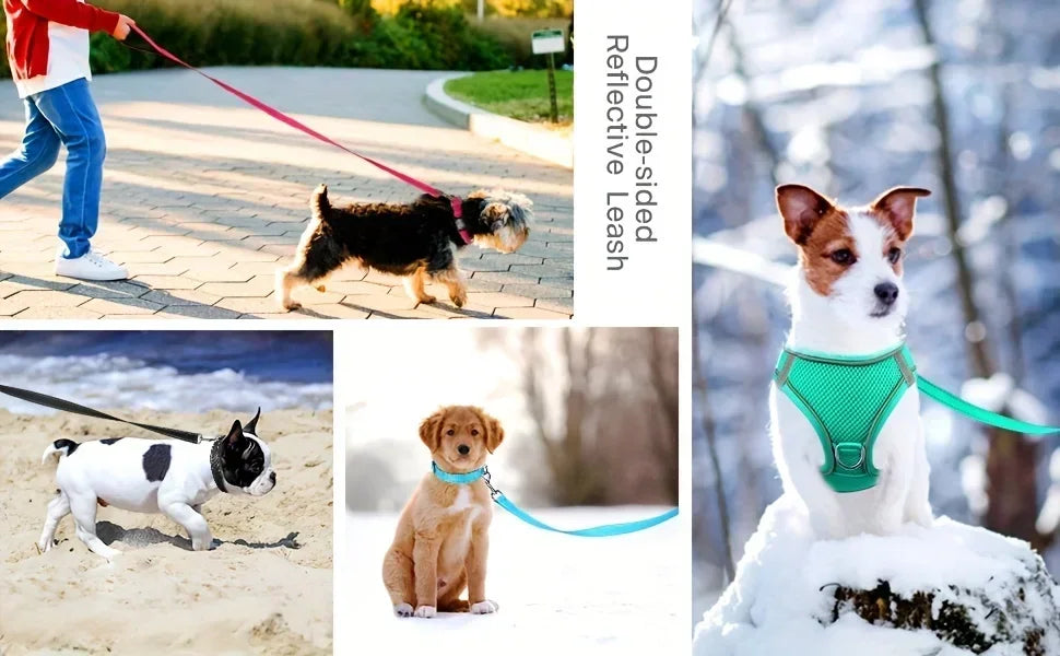 Ultimate Comfort Reflective Step-In Dog Harness and Leash Set - Soft Padded Breathable Mesh Vest,Ensure Safe Walking