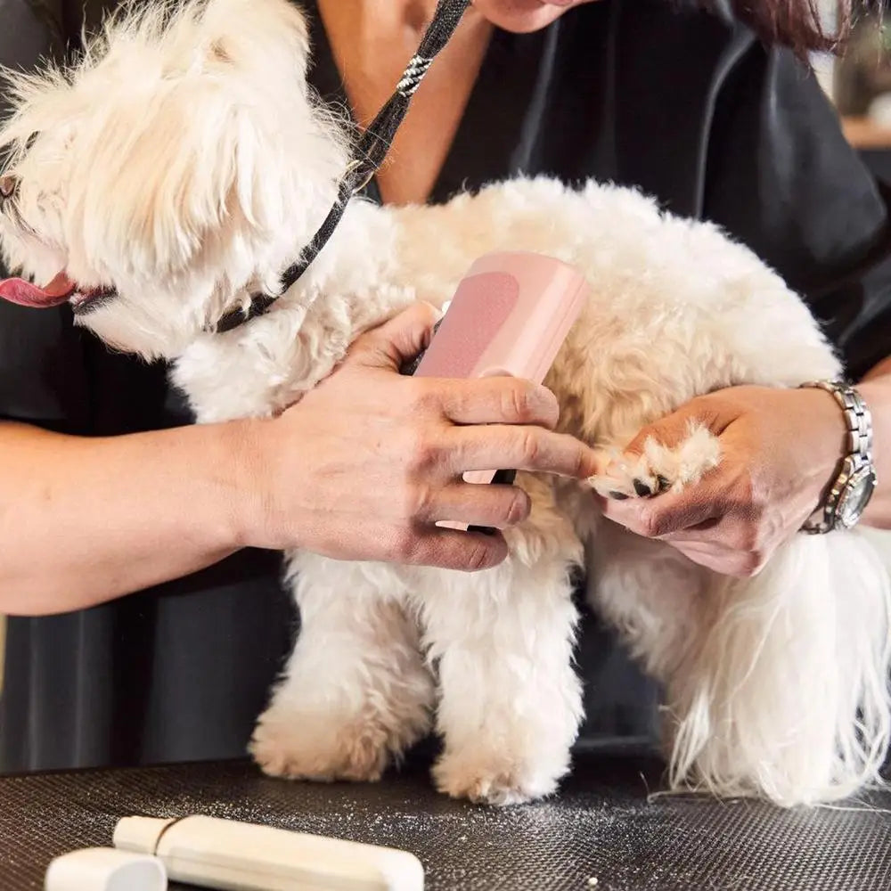 Multifunctional Pet Deshedding Brush Dog Hair Remover Cat Grooming Comb Pet Groom Brush Deshedding Grooming Tool For Dog