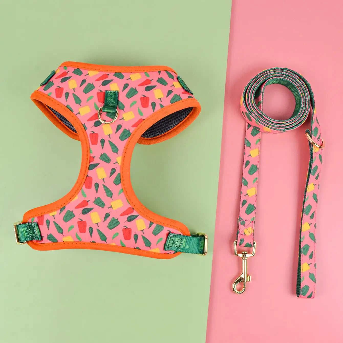 Valentine's Day and New Year's gift Cute Design Adjutable Luxury Designer Pet Harness &1 Pcs Color Matching Pet Dog Leashes