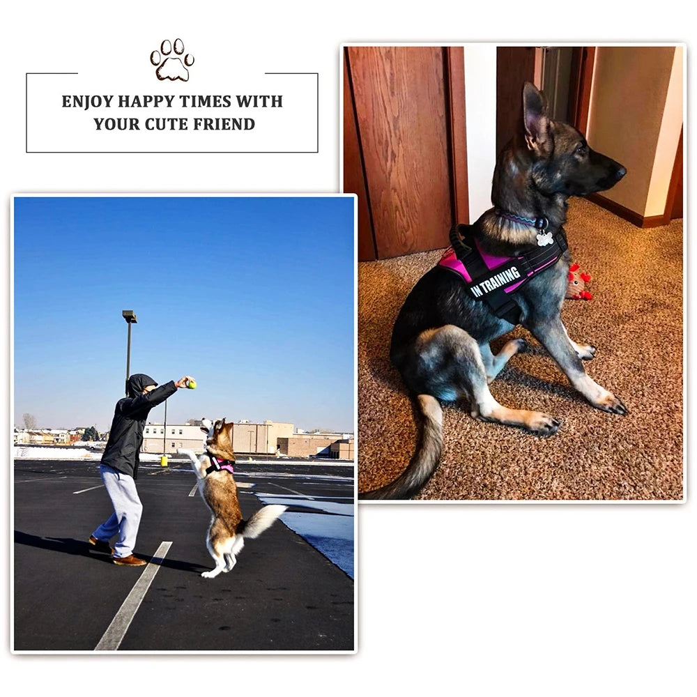Adjustable Nylon Dog harness Personalized Reflective Pet Harness for Small Medium Large Dogs  No Pull Dog Harness Leash