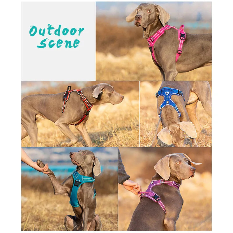 Truelove Dog Harness No Pull Vest Soft Adjustable Safety Harness For Dog Small Large Running Training French Bulldog Front Nylon