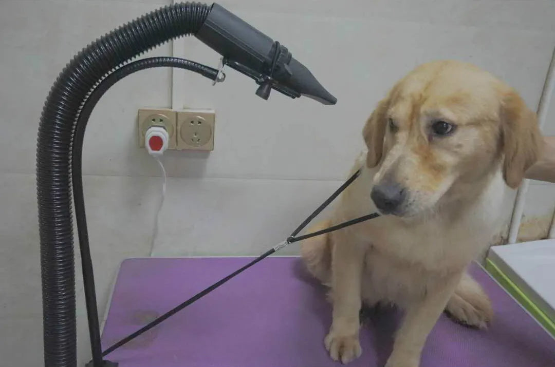 Adjustable Bracket  Water Blowing Machine Pet Hair Dryer Stand Dog Cat Grooming Support Arm Holder Tools Products