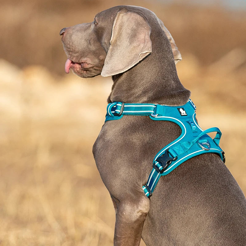 Truelove Dog Harness No Pull Vest Soft Adjustable Safety Harness For Dog Small Large Running Training French Bulldog Front Nylon