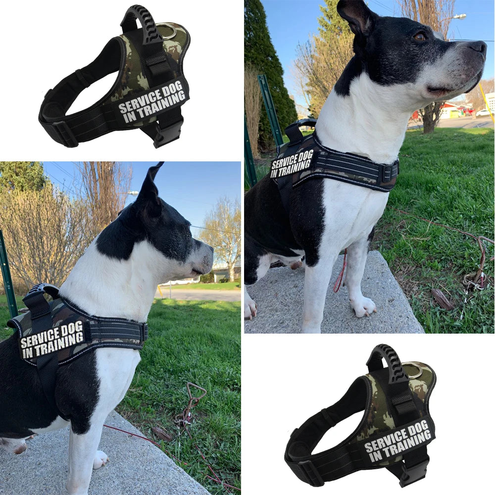Adjustable Nylon Dog harness Personalized Reflective Pet Harness for Small Medium Large Dogs  No Pull Dog Harness Leash