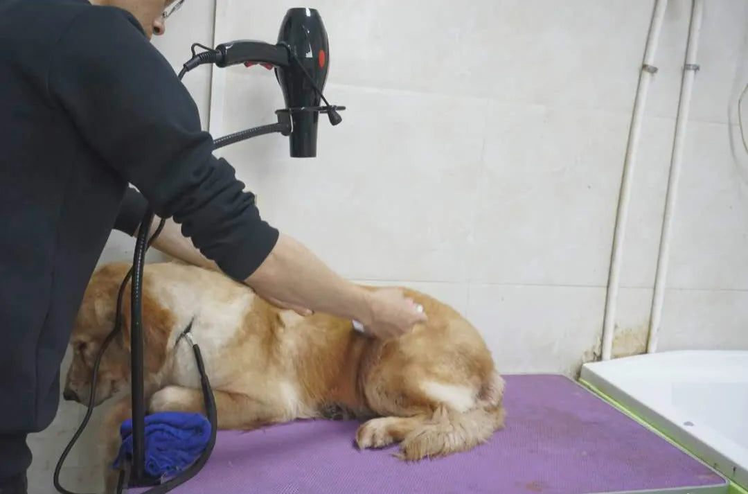 Adjustable Bracket  Water Blowing Machine Pet Hair Dryer Stand Dog Cat Grooming Support Arm Holder Tools Products