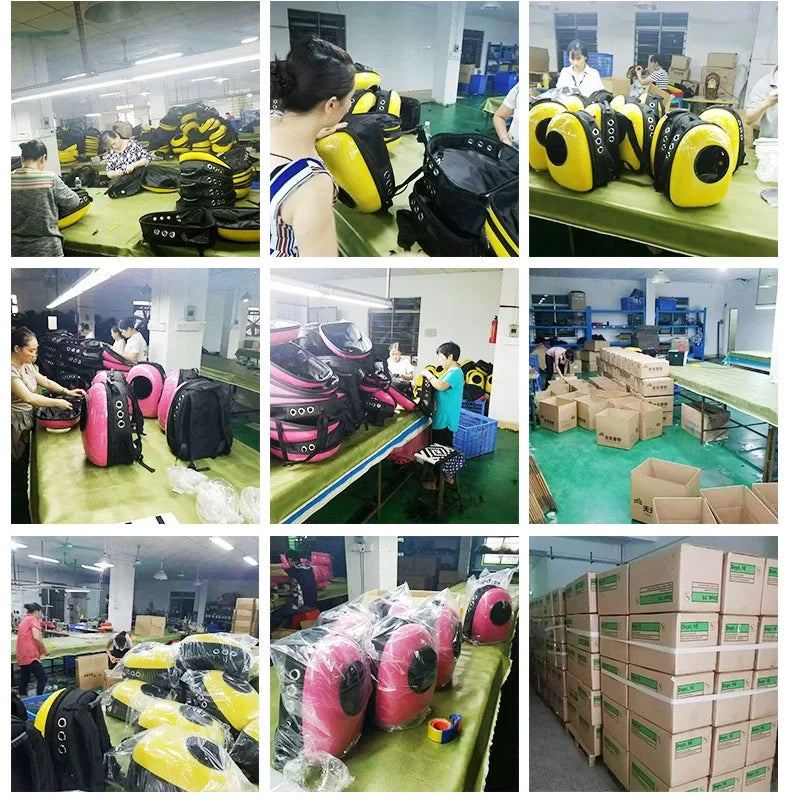 High Quality Window Transport Carrying Breathable Travel Bag Bubble Astronaut Pet Dog Space Capsule Cat Carrier Backpack