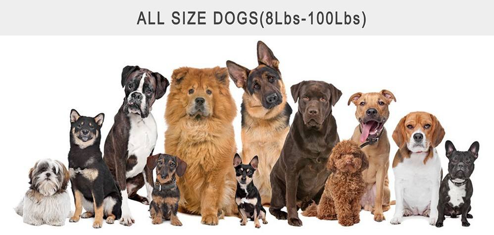Paipaitek 500yd Dog Training Collar Anti Bark Shocker for S/M Dogs Electric Dog Collar With Remote Rechargeable Waterproof