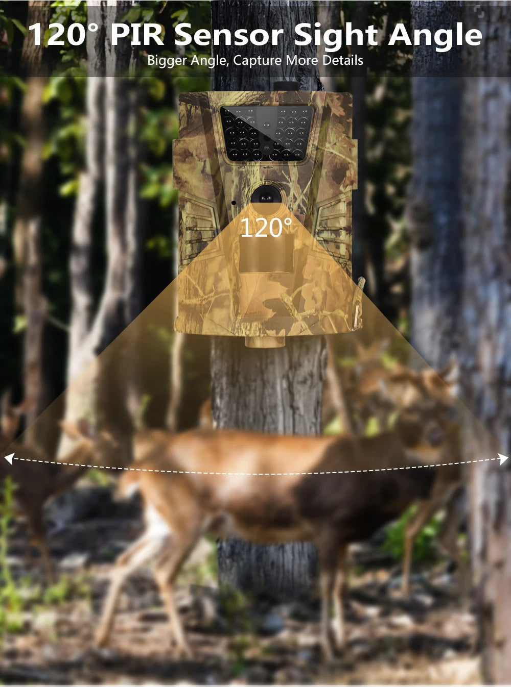 12MP Waterproof Hunting Trail Camera 850NM Night Vision HT001B Wild Surveillance Photo Traps for Wildlife Tracking