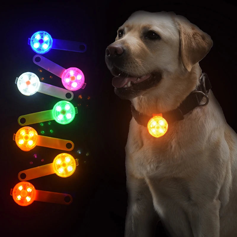 IPX7 Waterproof LED Pet Dog Cat Collar Pendant Night Safety Luminous Light Flashing Pendant With Light for Dog CatAccessories