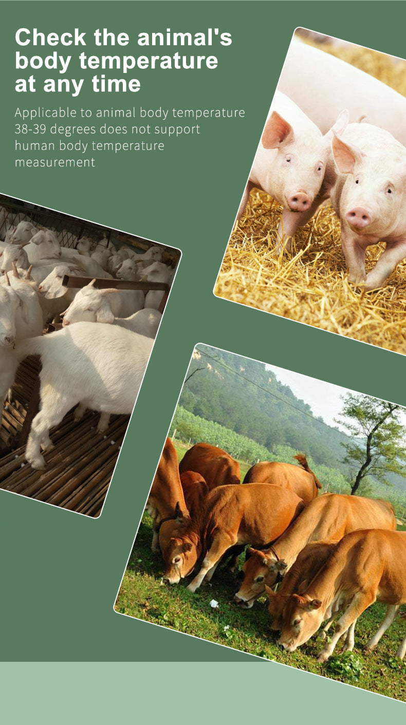 Infrared Pet Dog Cat Ear Thermometer Medical Animal Measuring Electronic Thermometer Non-contact Home Veterinary Equipment Quick