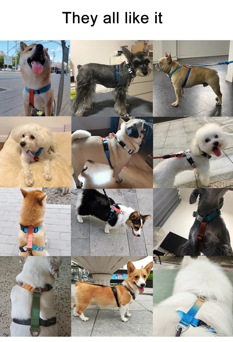 Adjustable Nylon Dog Harness Fashion Chest Vest No Pull Pet Puppy Harness for Small Medium Large Dogs Corgi Dog Supplies