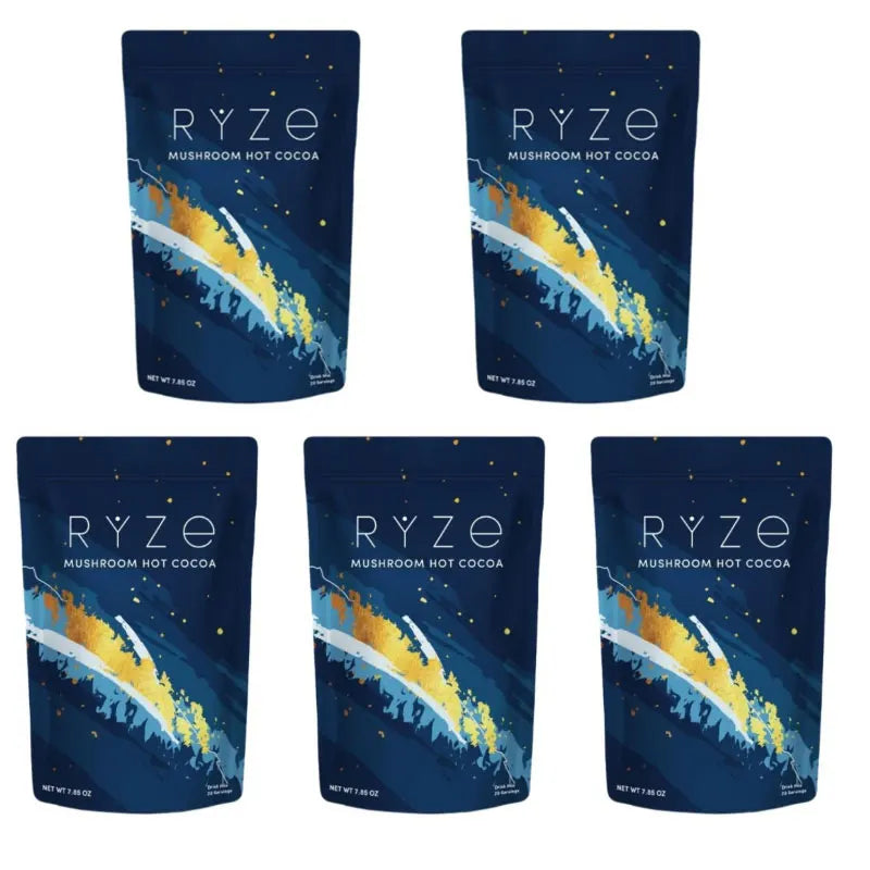 Mushroom Hot Cocoa Powder Sleep Support, Reishi L-Theanine Glycine Zinc Blend, Vegan Nighttime Relaxation Drink Mix, 20 Servings