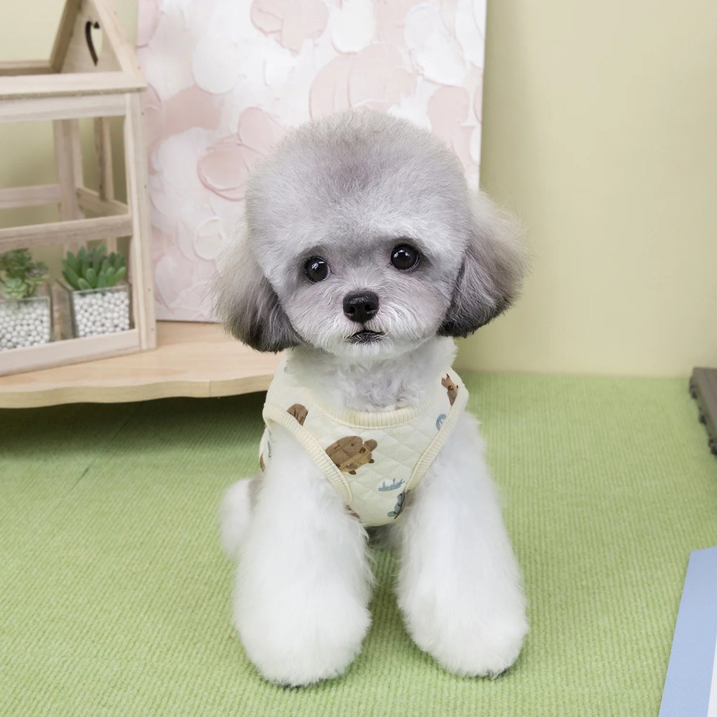 Pet Vest Small Dog Clothes Cat Autumn Winter Bear Pattern Warm Comfortable Baby Cotton Vest Teddy Bechon Small Dog Clothes