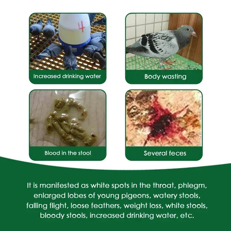 Trichomonas coccidia 2-in-1 powder for racing pigeons In vivo deworming pigeon weight loss brown blood stool medicine 5g*10 bags