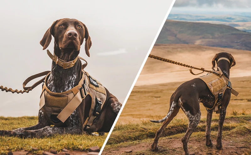 Tactical Dog Harness, Adjustable No-Pull Handle Service Vest Heavy Duty Pet Large Breed,  Dog Vest for Training Hunting Walking