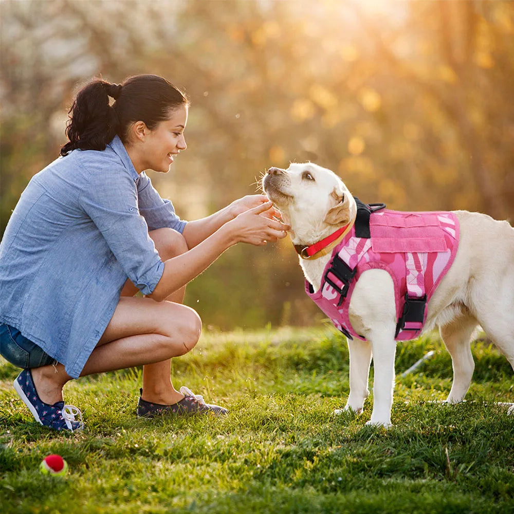 Tactical Pink Dog Harness Leash Set for Medium to Large Dog Adjustable Chest Strap Heavy-Duty Nylon for Outdoor Training Walking