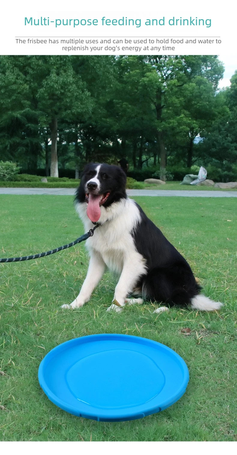 Dog Flying Saucer Interactive Funny Pet Cat Toy Dog Game Flying Discs Resistant Chew Puppy Training  Pet Dog Supplies
