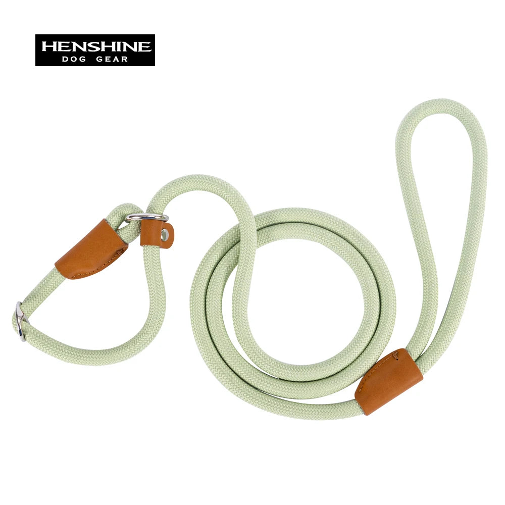 Convenient Durable Nylon Slip Rope Best Dog Leash Collar Adjustable Slide Fastener Loop Medium to Large Scale Leash for Dog Pet