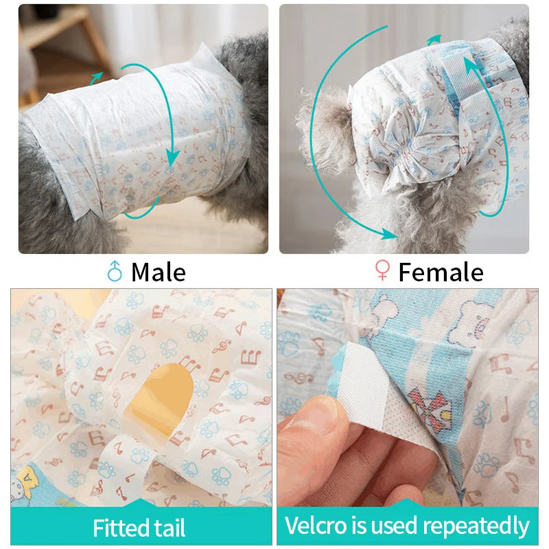 Super Absorption Female Dog Diaper Pet Menstrual Physiological Pants Leakproof Nappies Pants Breathable Puppy Short Dog Supplies