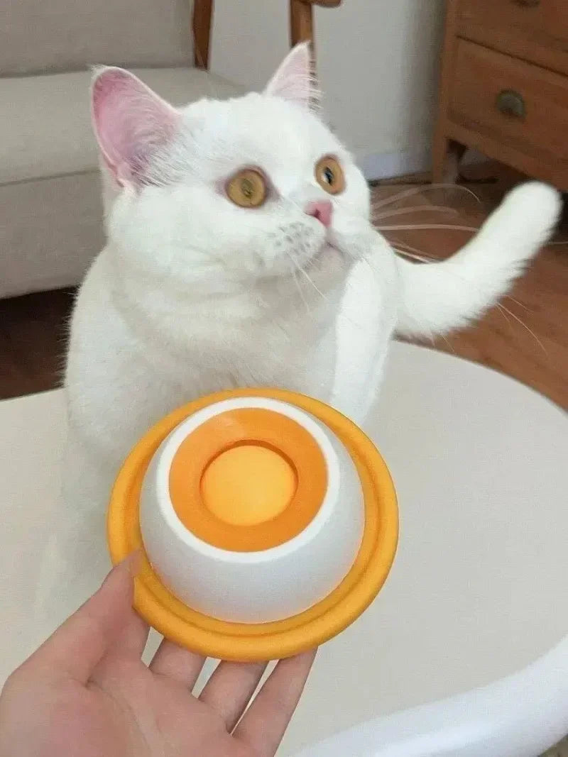Pet Lick Feeder Bowl Slow Feeder for Dogs Cats Anti Anxiety Interactive Treat Toy Non-Slip Suction Licking Mat for Oral Care