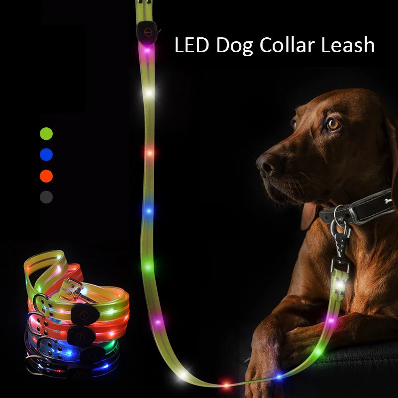 Pet Light-up Collar Leash LED Flashing Collar USB Charging Dog Walking Pulling Belt Adjustable Dog Collar Anti-Lost Pet Supplies
