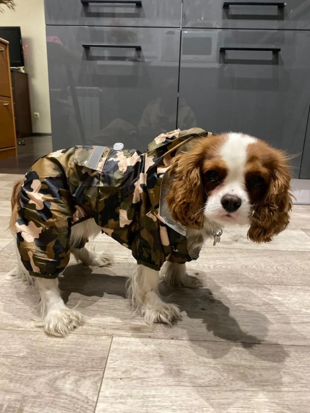 Dog Raincoat Puppy Rain Coat with Hood Reflective Waterproof Dog Clothes Soft Breathable Pet Cat Small Dog Rainwear XS - 5XL