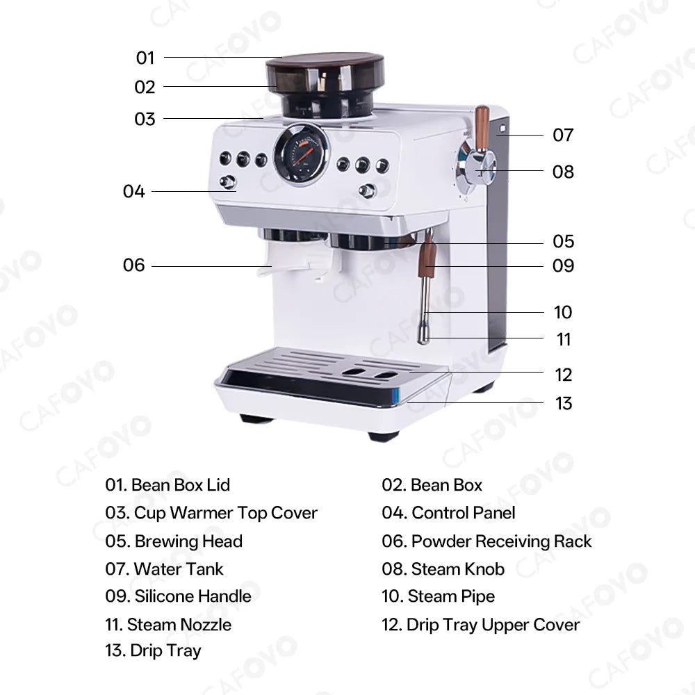 CAFOVO E161G 3-in-1 Semi-automatic Coffee Machine with Burr Grinder Frothing Milk for Home Barista Espresso & Cold Brew 220V