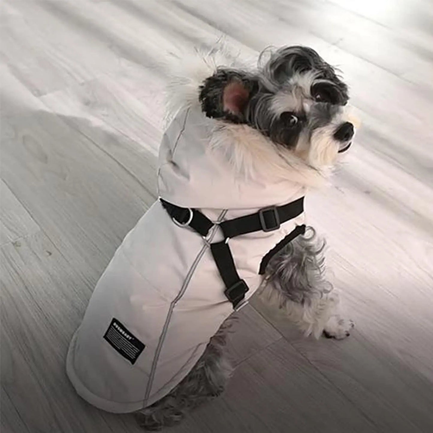 Dog Coat Winter Dog Jacket Dog Vest Clothing Dog Harness Coat Small Dog Harness Puppy Vest Harness Winter Dog Coat with Harness