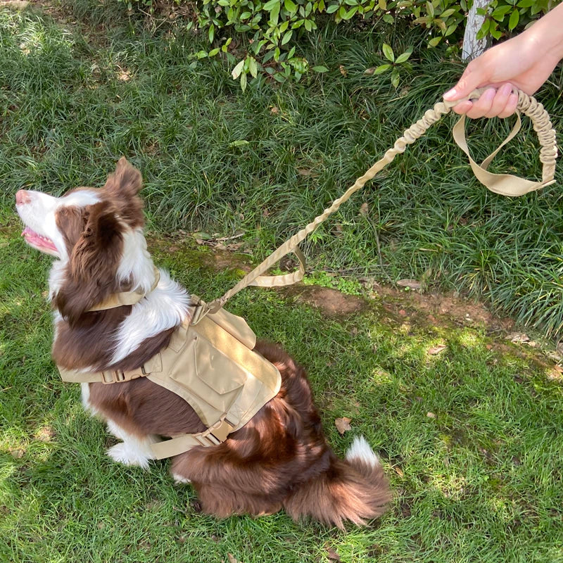 Tactical Dog Harness Adjustable Traning Dog Harness Leash Sets with Storage Bag for Large Dog Control Handle Cat Harness