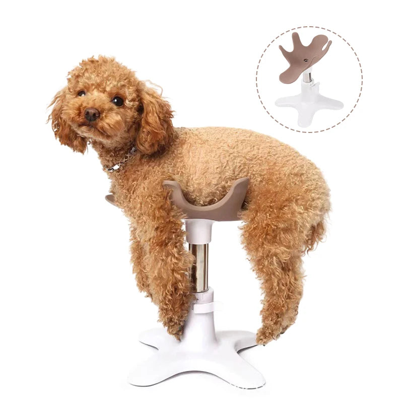 Dog Grooming Beauty Fixed Table Base Frame Adjustable Removable Pet Bath Fixer Universal Metal Pest Grooming Fixing Table