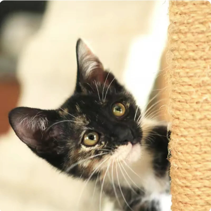 Sisal Rope Cat Tree Scratching Post Toy Cat Climbing Frame Replacement Rope Desk Legs Binding Rope for Cat Sharpen Claw