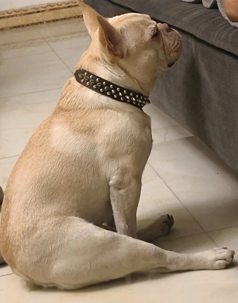 PU Dog Collar with Spike Rivet Adjustable Anti-Bite Pet Collars for Small Medium Large Dogs Bull Terrier Doberman Pinscher