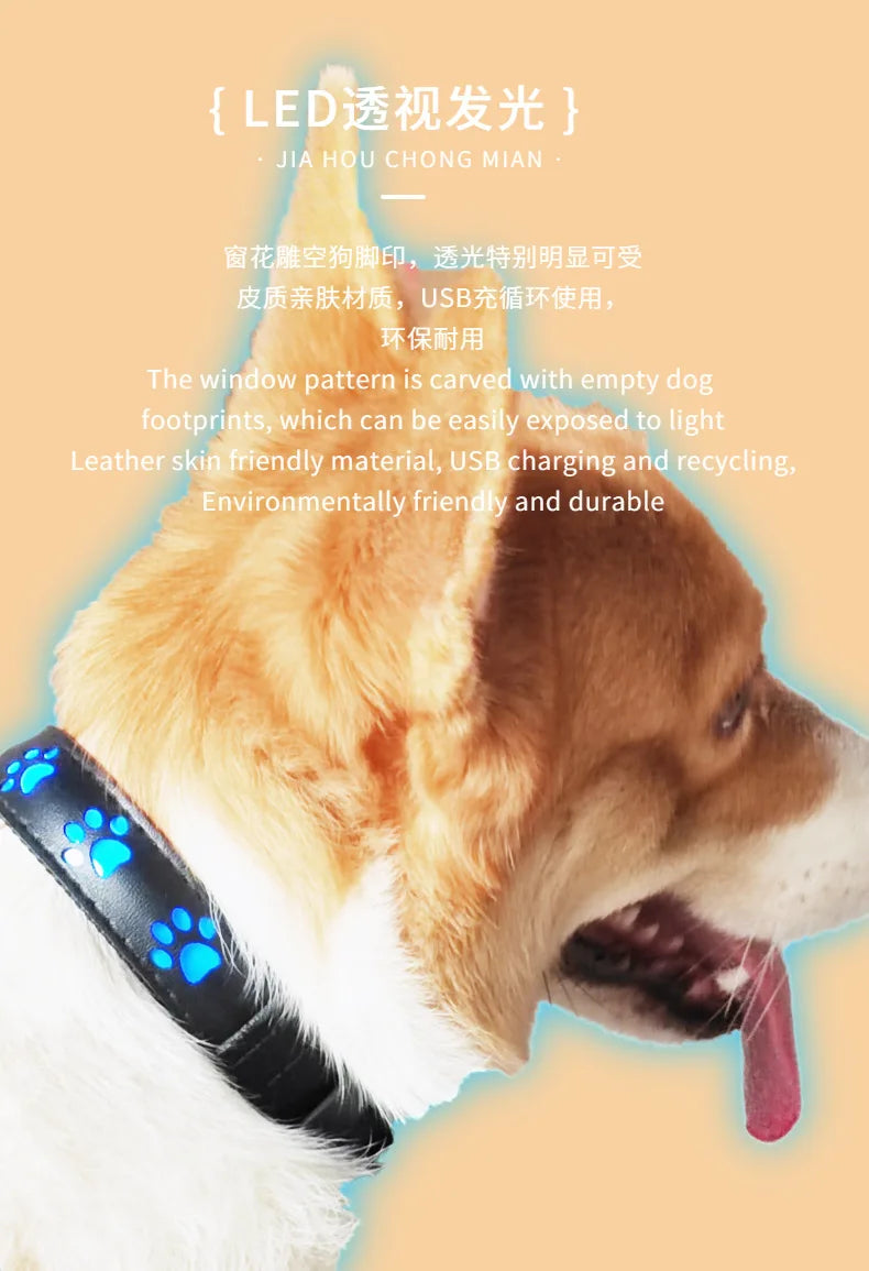 XS-L Luminous Dog Necklace Usb Glowing Small Dog Cat Collar Anti-Loss Cat Collar Safety Night Light Pet Supplies