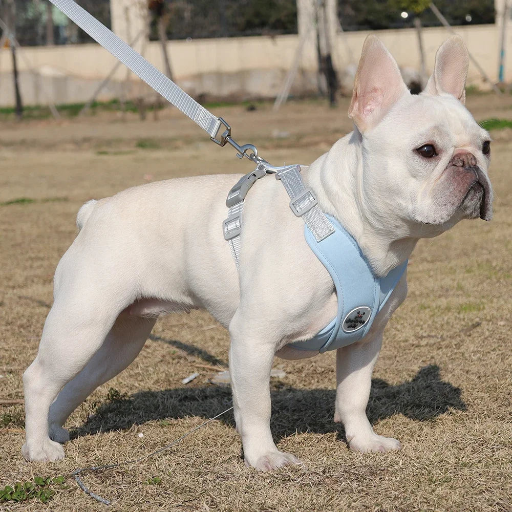Dog Harness Leash Set Breathable Pet Chest Strap Reflective French Bulldog Vest Harness for Small Medium Dogs Puppy Collar Yorks