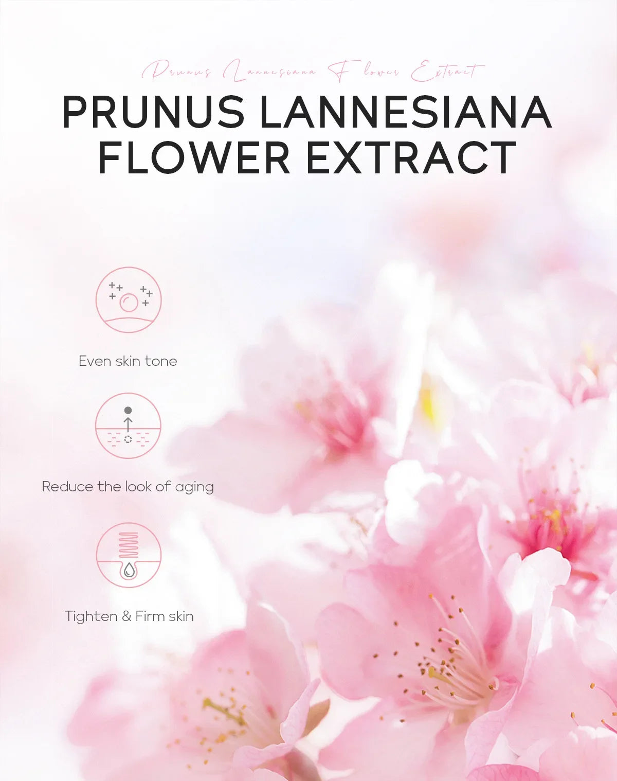 Laikou Sakura Hydrating Facial Mask Sheet Masks for Face Hydrating Shrinking Pores Moisturizing Face Masks Skin Care Cosmetics