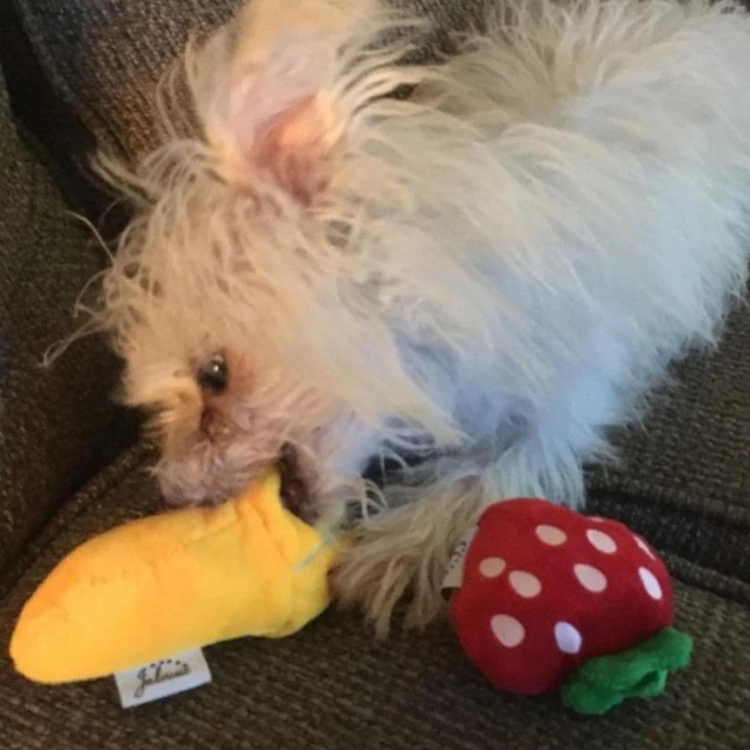 7-Piece Set of Puppy Sound Toys Loose Chewing Pet Chewing Plush Fruit Snacks and Vegetable Combo Toys Suitable for Cute Playm