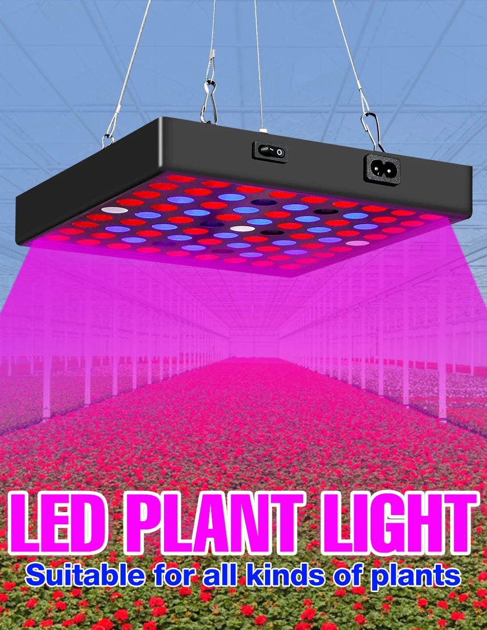 200W LED Plant Grow Light Full Spectrum Indoor Hydroponics Fill Lamp AC100-277V Greenhouse Vegetable Fruits Cultivation Lighting