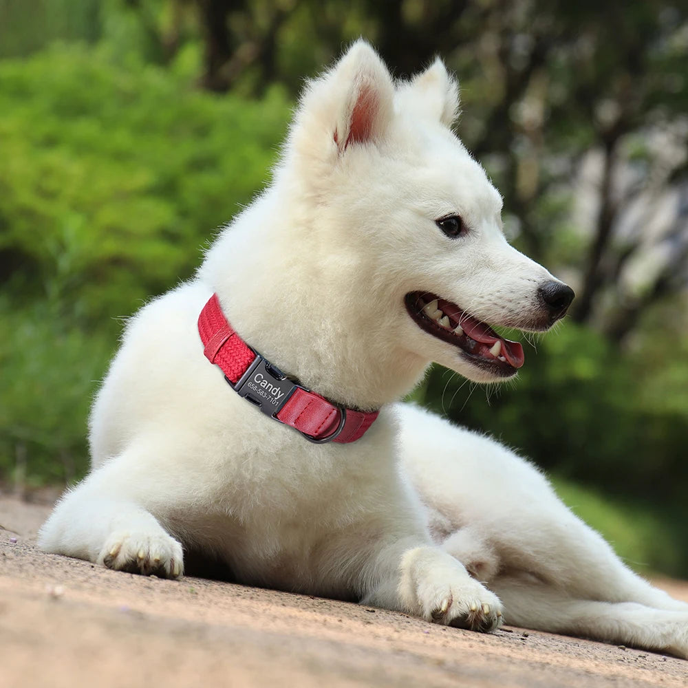 Retro Dog Collar Leash Set Custom Nylon Dog Collars With Walking Lead Rope Adjustable Pet Necklace for Small Large Dogs Durable