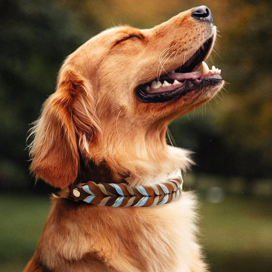 Genuine Leather Collar For Strong And Durable Puppy Medium Large Dogs Fashion Braided Colorful Nylon Rope Dog Collar New Arrival