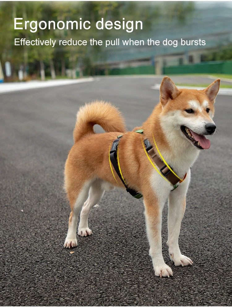 Adjustable Nylon Dog Harness Fashion Chest Vest No Pull Pet Puppy Harness for Small Medium Large Dogs Corgi Dog Supplies