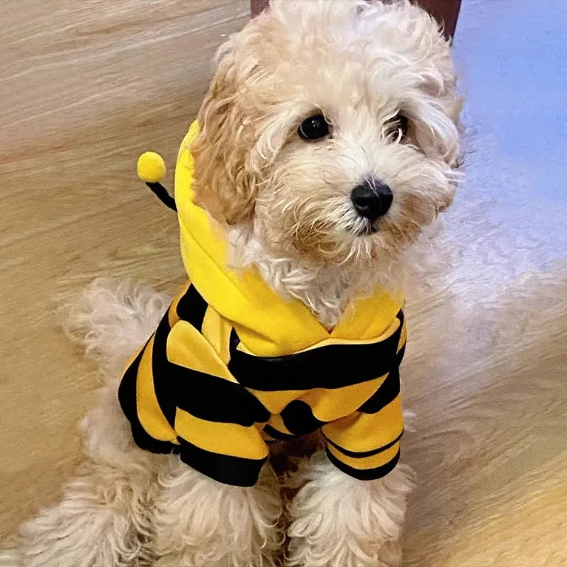 Bee Dog Clothes for Autumn and Winter Schnauzer Teddy Small Puppy Cat Pet Hoodie Bee Transformation Suit Dog Cat Cosplay Costume