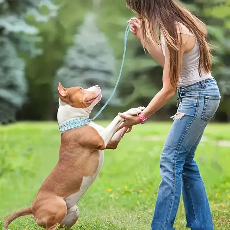 PU Dog Collar with Spike Rivet Adjustable Anti-Bite Pet Collars for Small Medium Large Dogs Bull Terrier Doberman Pinscher