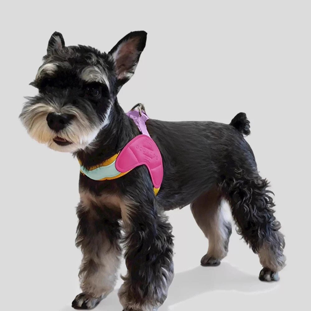 Y-shaped Dog Harness for Small Dogs Shiba Inu Puppy Chest Straps Macaron Color Matching Pet Harness Outdoor Products