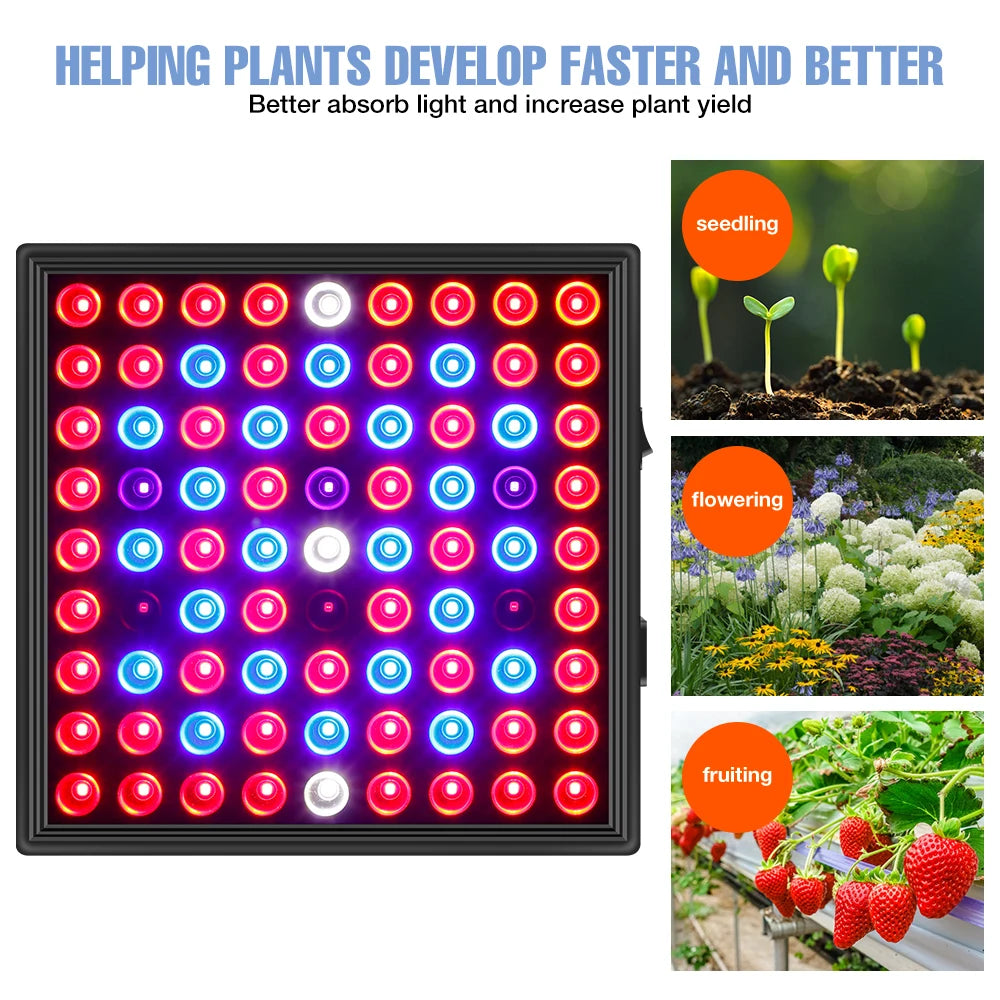 100W 50W LED Grow Light Full Spectrum Plant Hydroponics Cultivation Lamp IR UR For Indoor Flower Cactus Succulent Fill Lighting