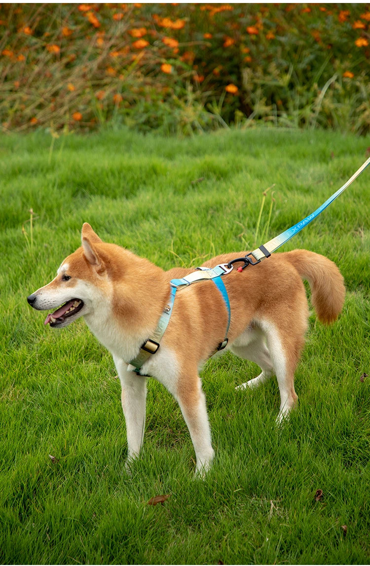 Adjustable Nylon Dog Harness Fashion Chest Vest No Pull Pet Puppy Harness for Small Medium Large Dogs Corgi Dog Supplies