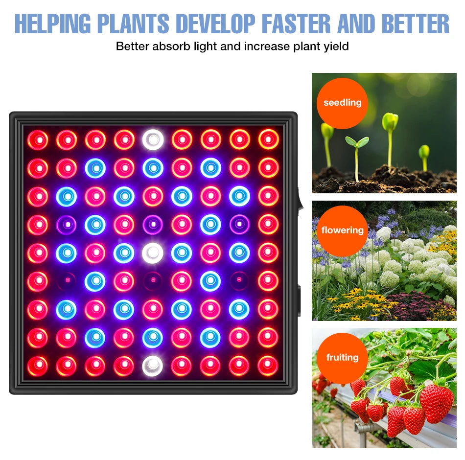 200W LED Plant Grow Light Full Spectrum Indoor Hydroponics Fill Lamp AC100-277V Greenhouse Vegetable Fruits Cultivation Lighting